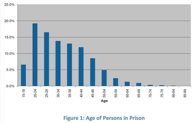 Figure 1 Age of Persons in Prison